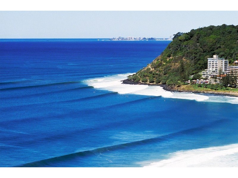 16 Egret Avenue, Burleigh Waters QLD 4220