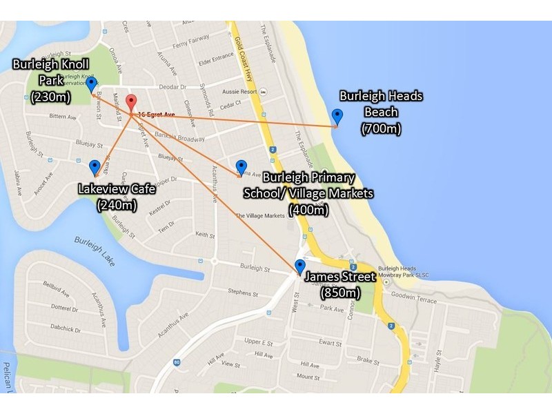 16 Egret Avenue, Burleigh Waters QLD 4220