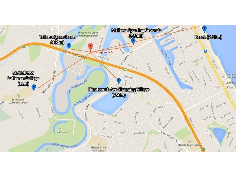 61 Japonica Drive, Palm Beach QLD 4221