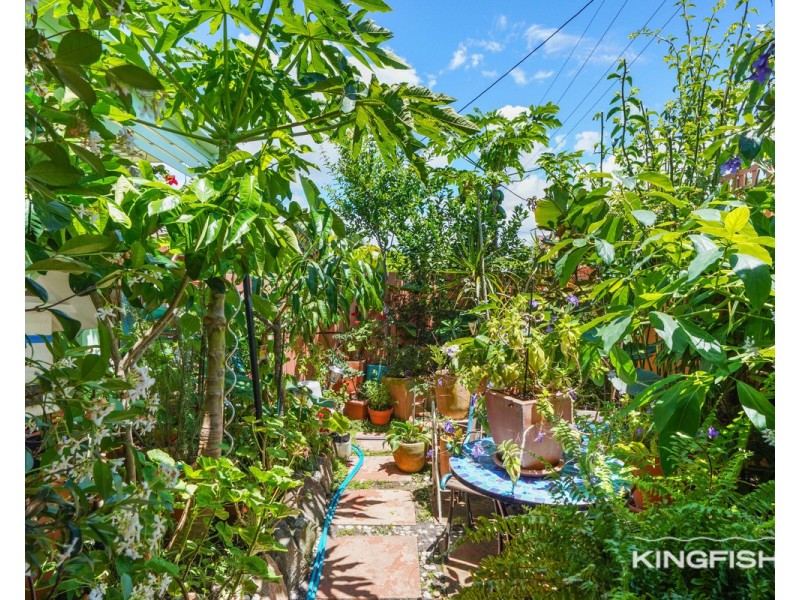 1/12 Elder Entrance, Burleigh Heads QLD 4220