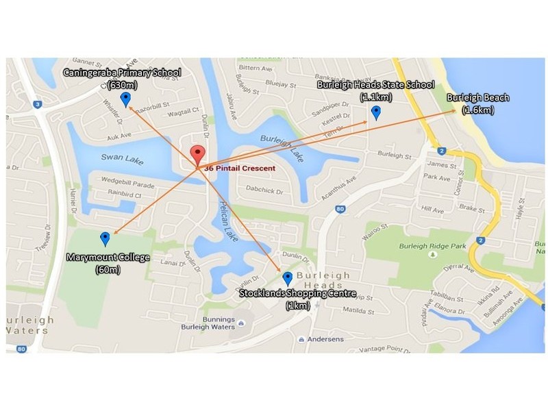 36 Pintail Crescent, Burleigh Waters QLD 4220