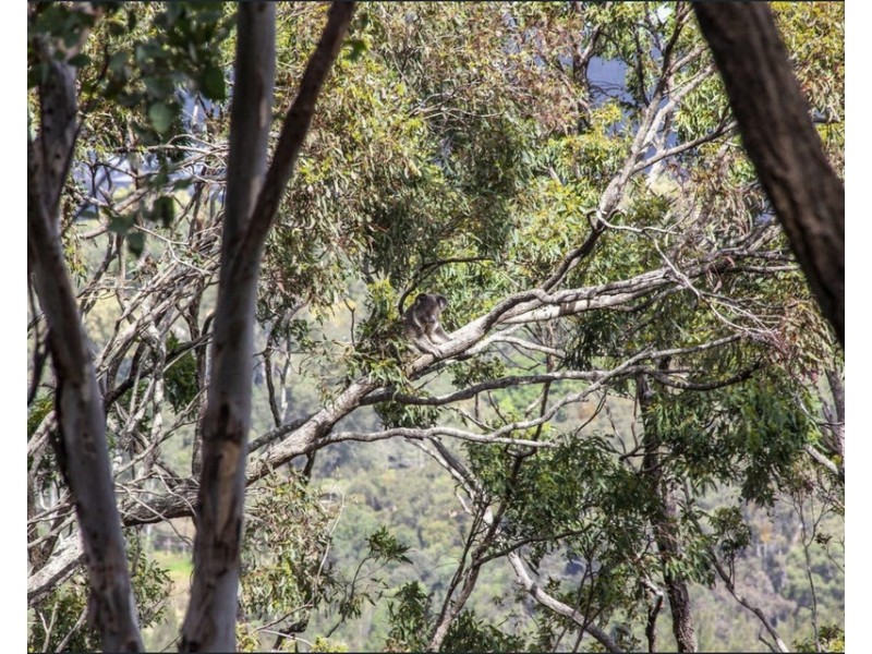 24 Skyline Terrace, Burleigh Heads QLD 4220