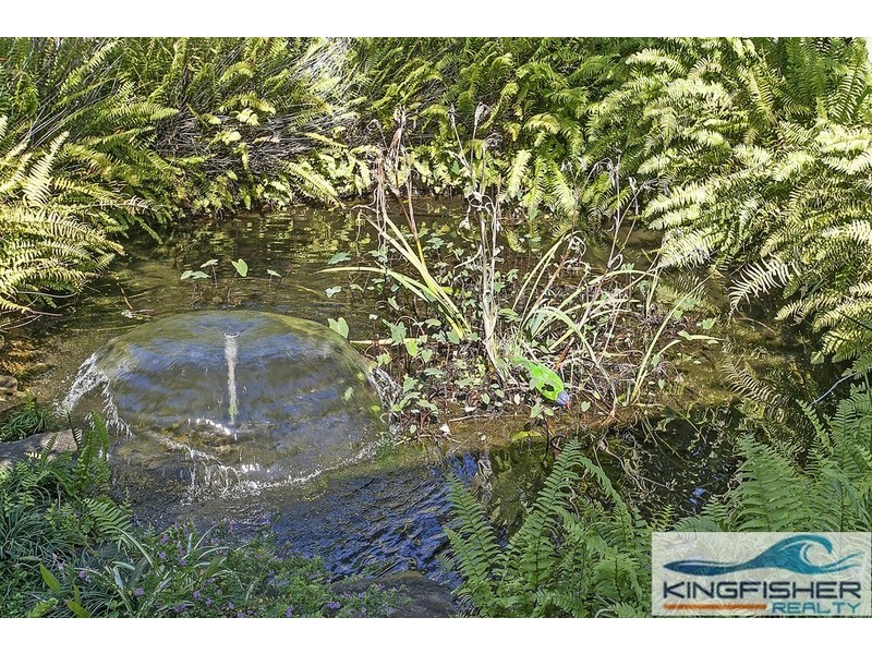 19 Tern Drive, Burleigh Waters QLD 4220