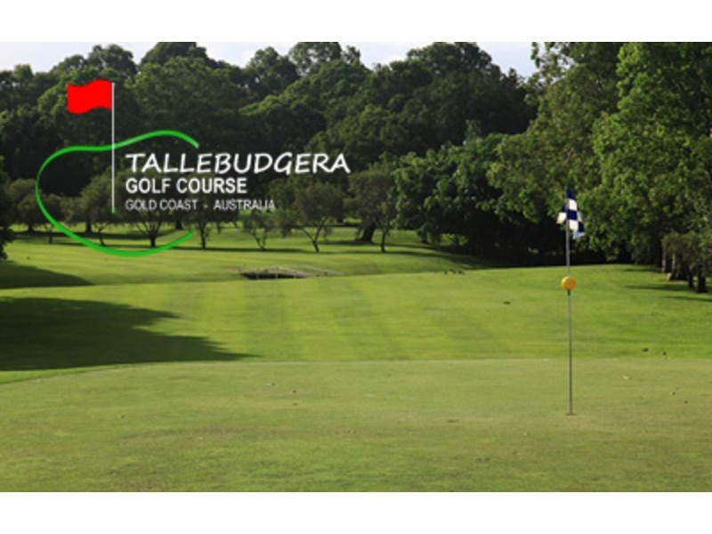 14 Dungogie Drive, Tallebudgera QLD 4228