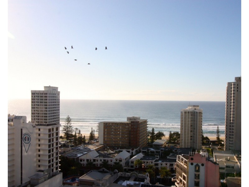 1162/23 Ferny Avenue, Surfers Paradise QLD 4217