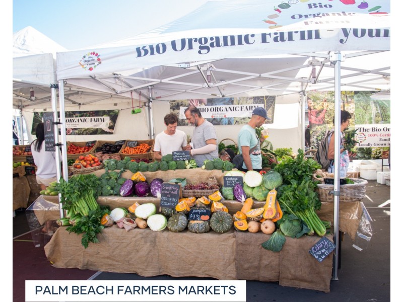 27 Tahiti Avenue, Palm Beach QLD 4221