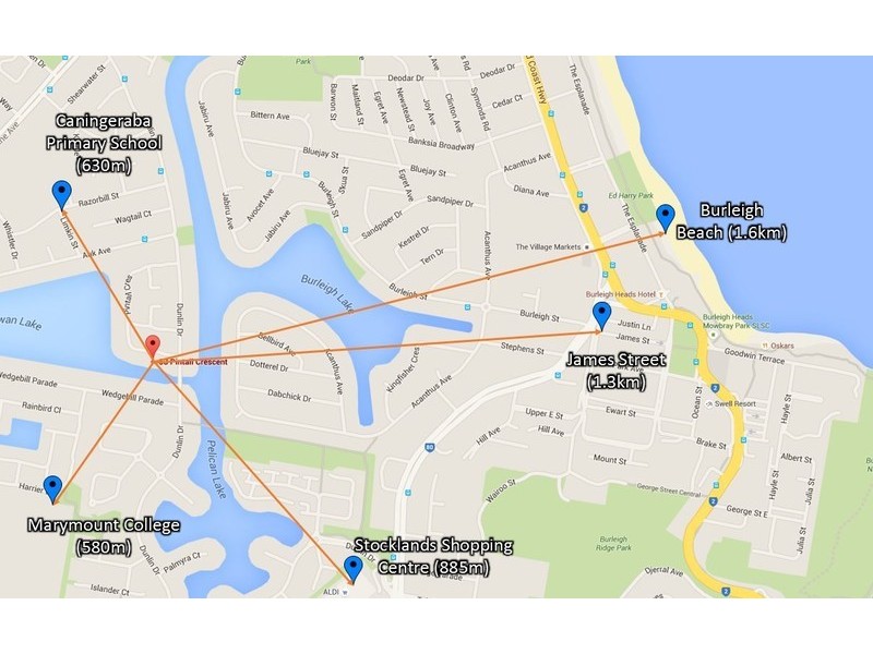 53 Pintail Crescent, Burleigh Waters QLD 4220