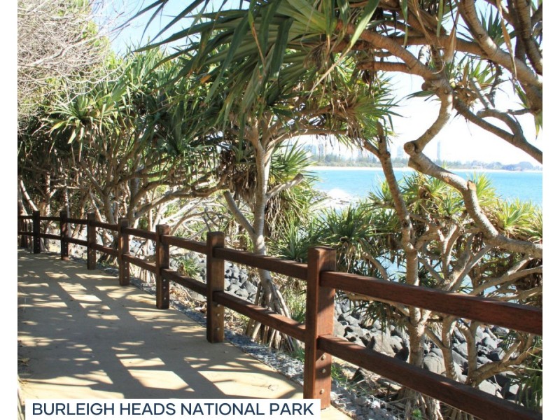 29 Acanthus Avenue, Burleigh Heads QLD 4220