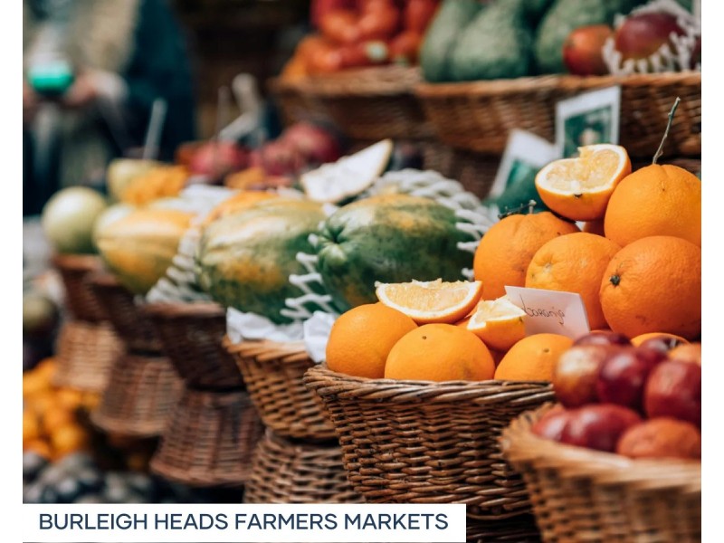 70 Wedgebill Parade, Burleigh Waters QLD 4220