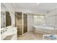 51 Wedgebill Parade, Burleigh Waters QLD 4220