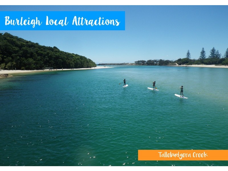 87 Tabilban Street, Burleigh Heads QLD 4220