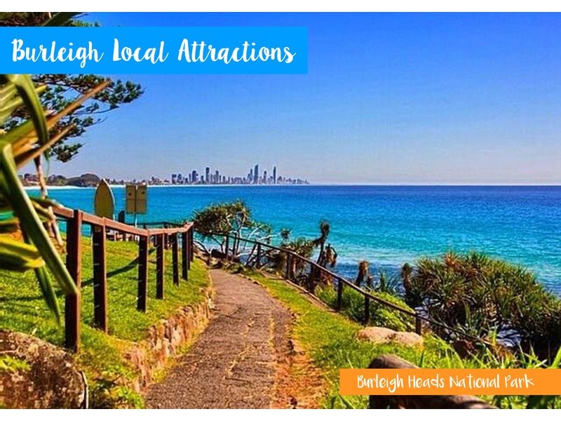 118 Dunlin Drive, Burleigh Waters QLD 4220