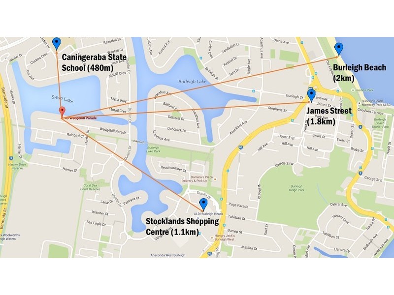49 Wedgebill Parade, Burleigh Waters QLD 4220