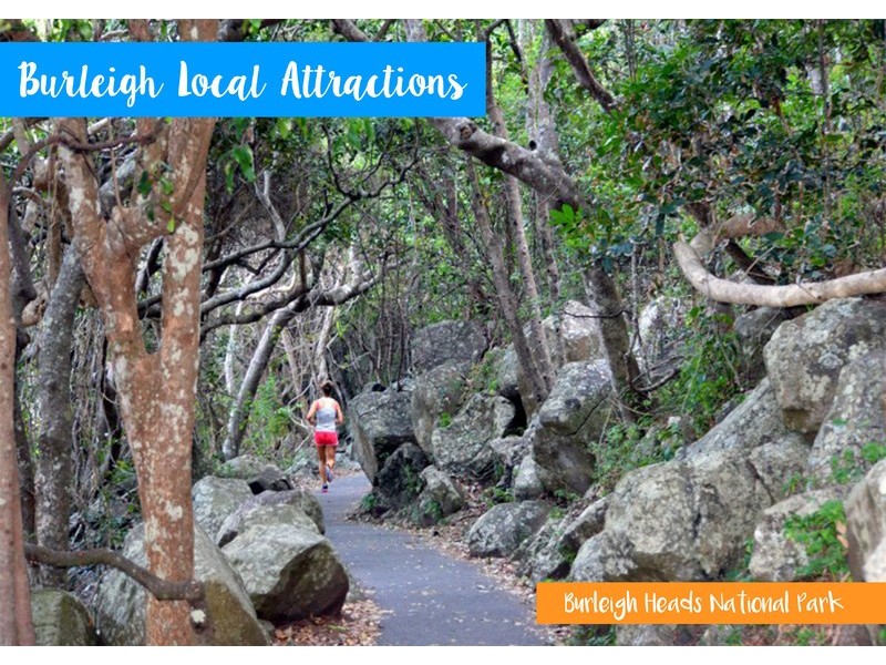 4 Deodar Drive, Burleigh Heads QLD 4220