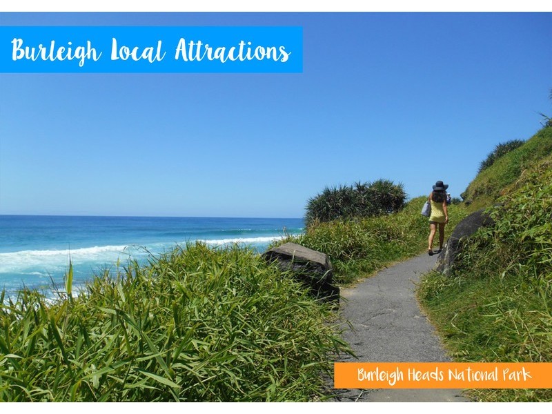 33 Sea Eagle Drive, Burleigh Waters QLD 4220