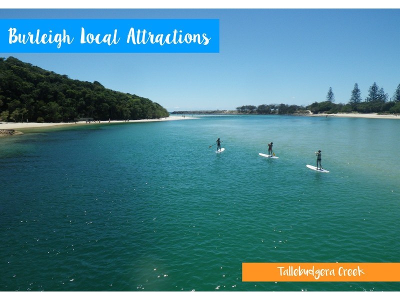 33 Sea Eagle Drive, Burleigh Waters QLD 4220