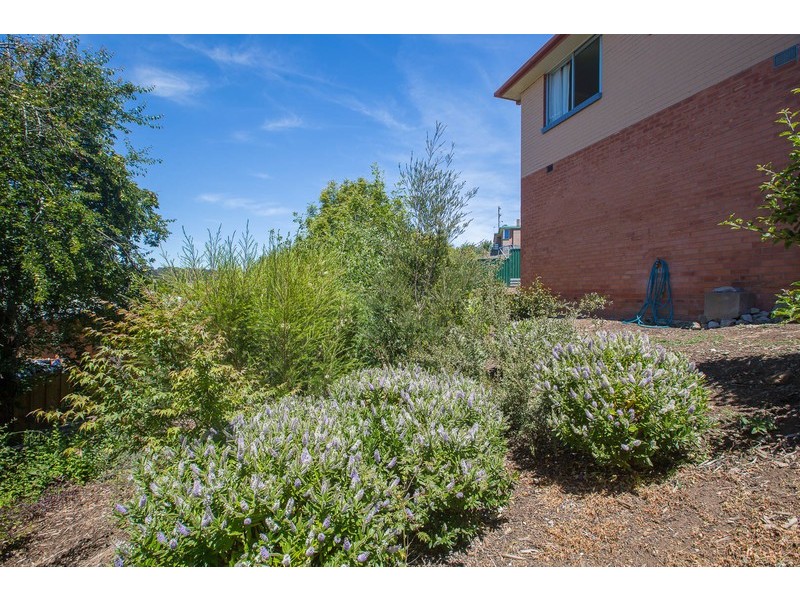 17 Clarke Street, Ulverstone TAS 7315