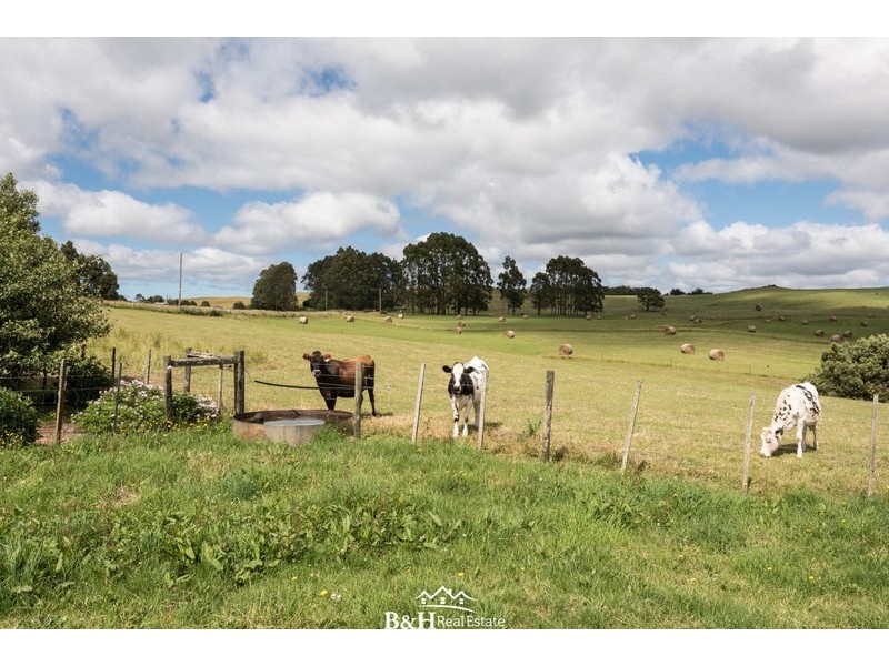 623 East Yolla Road, Yolla TAS 7325