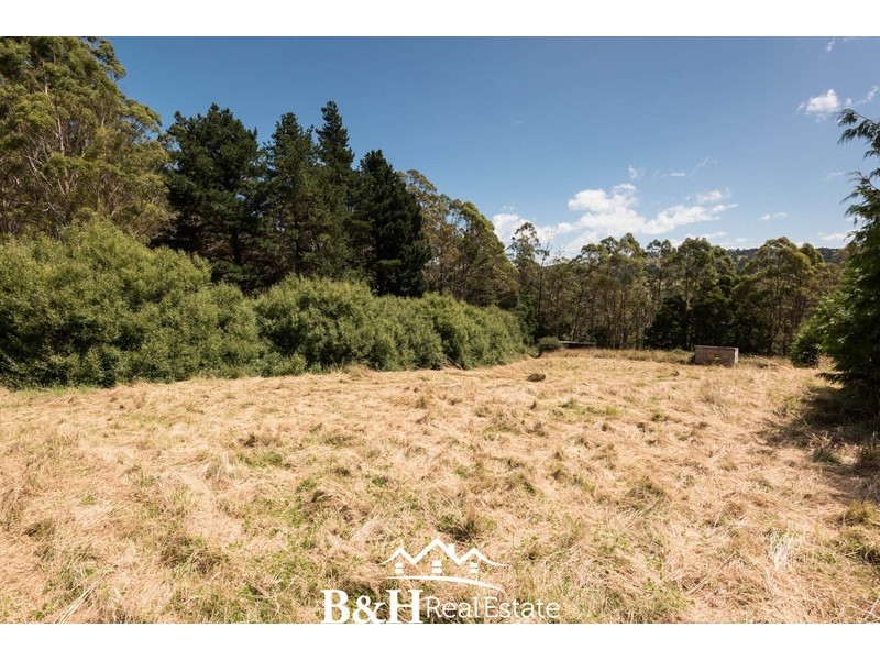 419 Paloona Road, Paloona TAS 7310