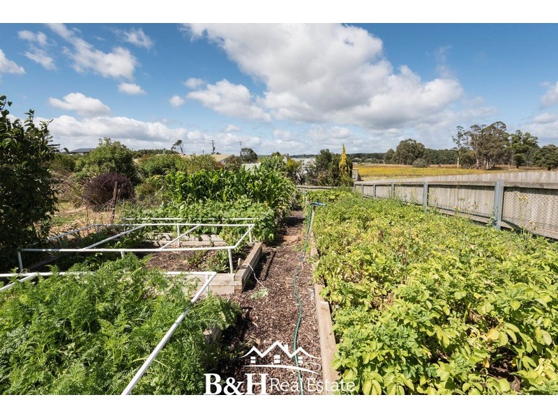 103 North Prospect Road, West Ridgley TAS 7321