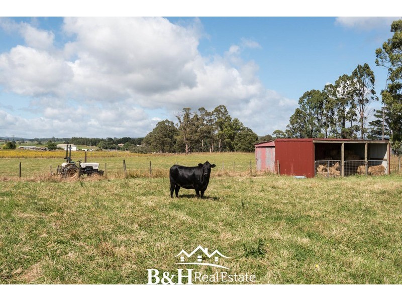 103 North Prospect Road, West Ridgley TAS 7321