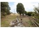 98 Lowries Road, Oldina TAS 7325