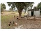 98 Lowries Road, Oldina TAS 7325