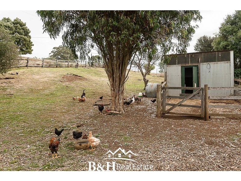 98 Lowries Road, Oldina TAS 7325