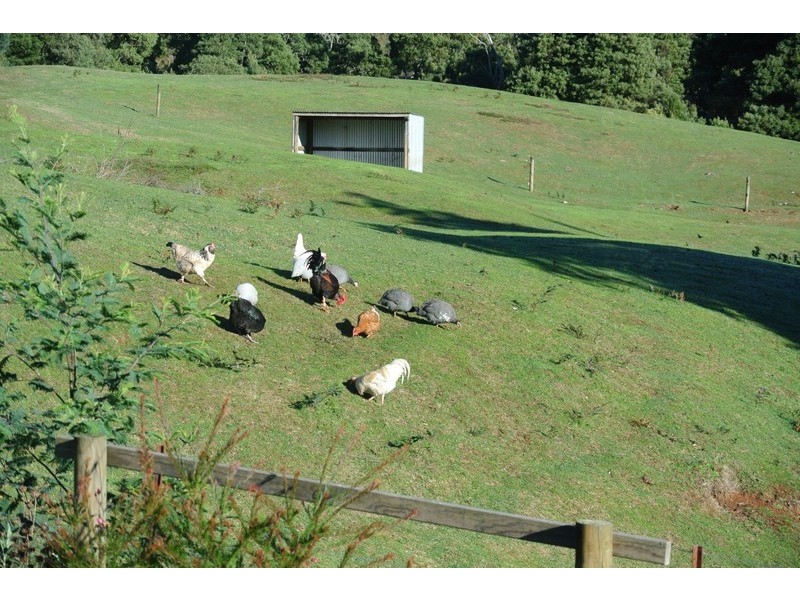 98 Lowries Road, Oldina TAS 7325