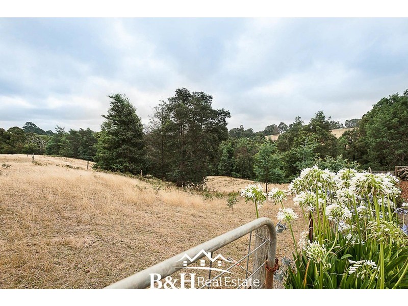 98 Lowries Road, Oldina TAS 7325