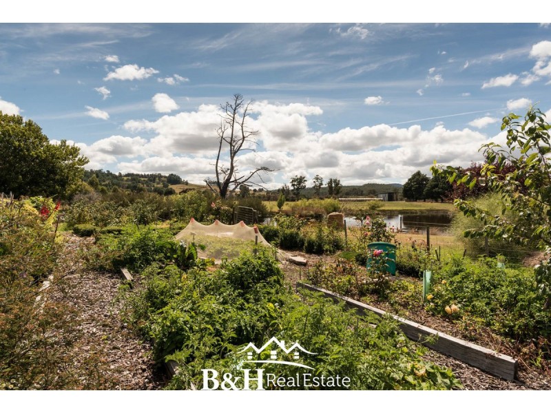 1410 Birralee Road, Birralee TAS 7303