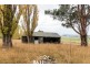 6059 Bass Highway, Elizabeth Town TAS 7304