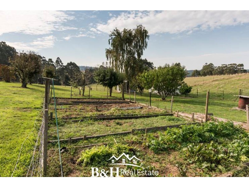 163 Preston-Castra Road, Preston TAS 7315