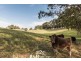 163 Preston-Castra Road, Preston TAS 7315