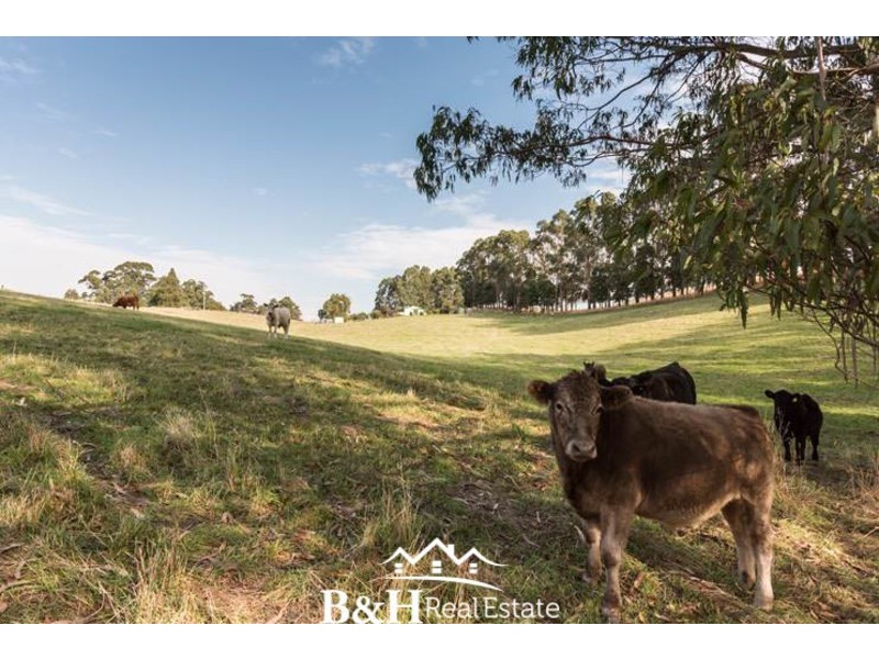 163 Preston-Castra Road, Preston TAS 7315