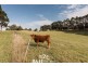 163 Preston-Castra Road, Preston TAS 7315