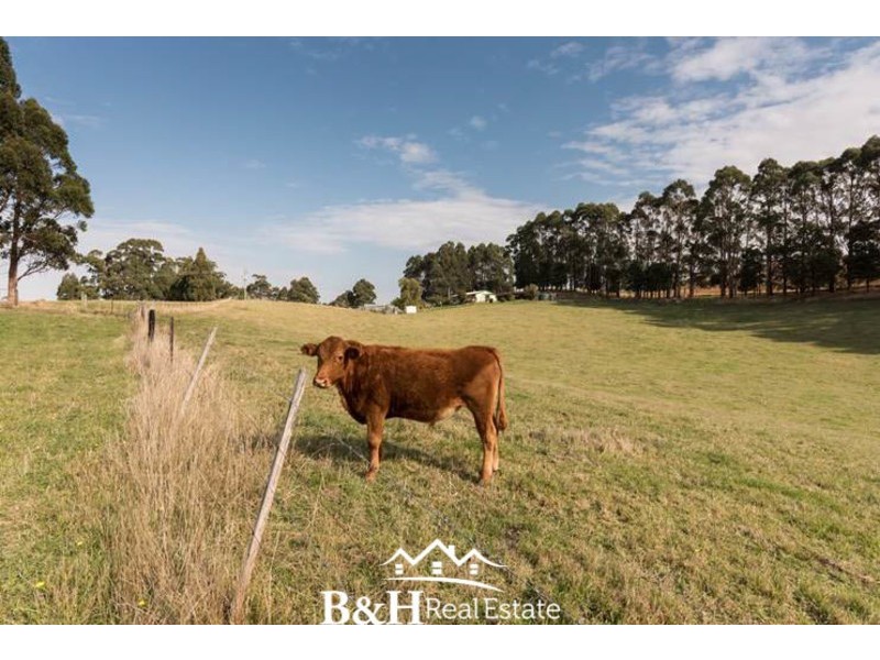 163 Preston-Castra Road, Preston TAS 7315