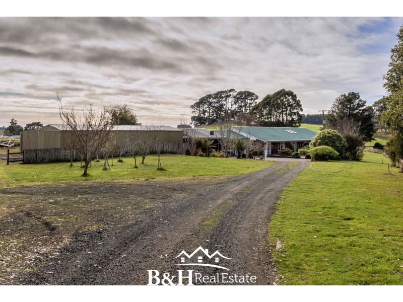 953 Ridgley Highway, Ridgley TAS 7321