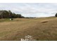 953 Ridgley Highway, Ridgley TAS 7321