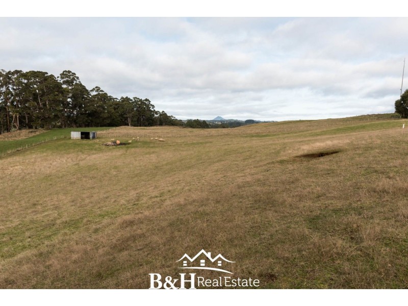953 Ridgley Highway, Ridgley TAS 7321