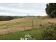 953 Ridgley Highway, Ridgley TAS 7321