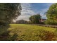 10 Richardson Crescent, Park Grove TAS 7320