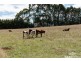 385 Upper Stowport Road, Upper Stowport TAS 7321