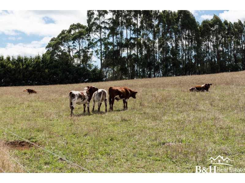 385 Upper Stowport Road, Upper Stowport TAS 7321