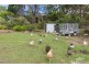 40 South Road, Penguin TAS 7316