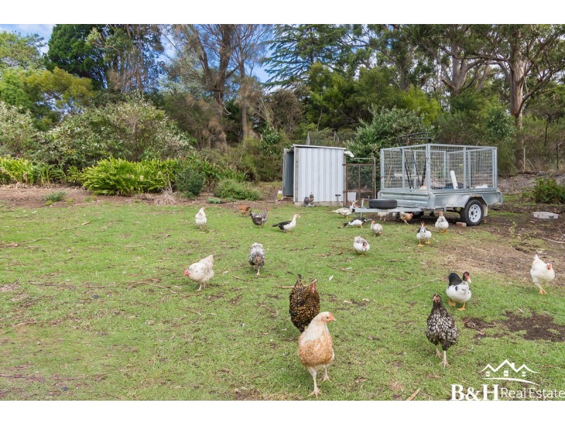 40 South Road, Penguin TAS 7316