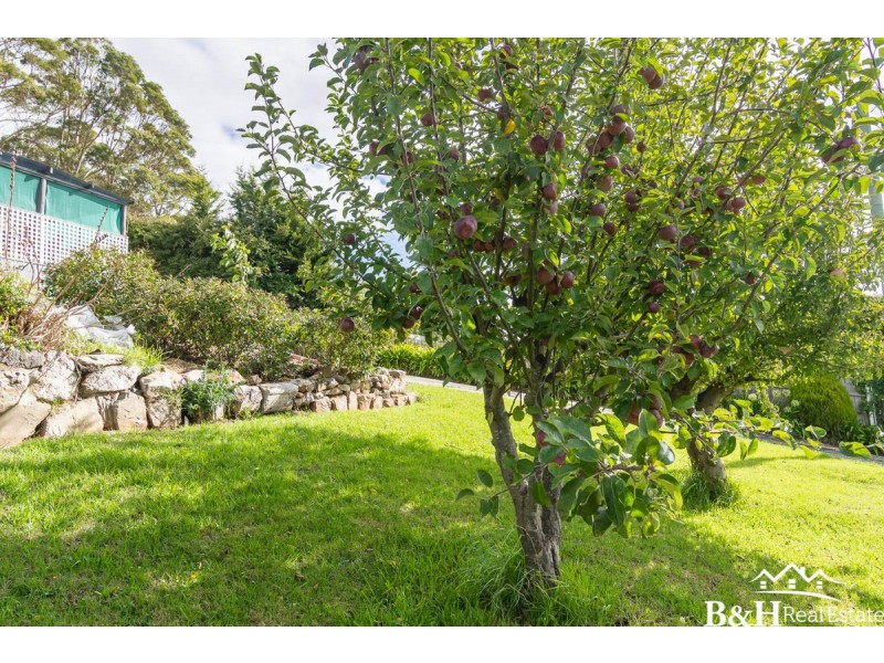 40 South Road, Penguin TAS 7316