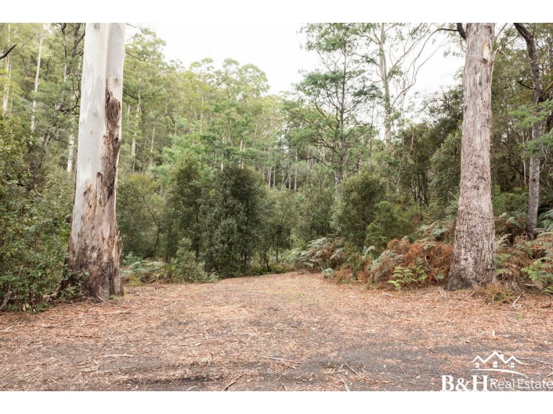 450 Spellmans Road, Upper Castra TAS 7315