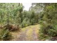 450 Spellmans Road, Upper Castra TAS 7315