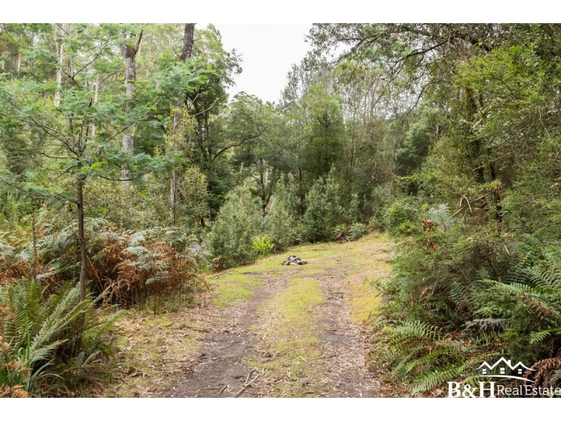 450 Spellmans Road, Upper Castra TAS 7315